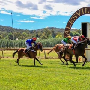 Healesville Picnic Races