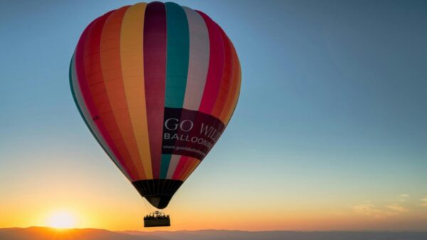 Up, Up & Away! - Image 6