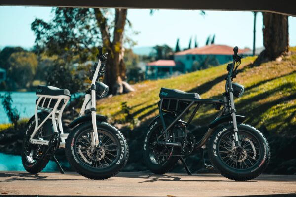 The Ultimate eBike Rail Trail (coming late Apr-25!) - Image 2
