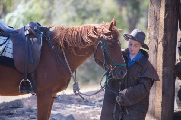 Ginny Up Horsey! - Image 3
